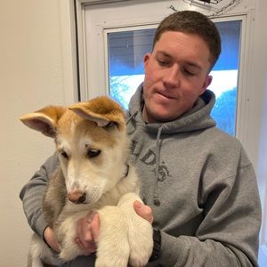 Meet your Posher, Alan